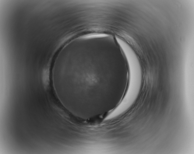 X0000088400484200706051138