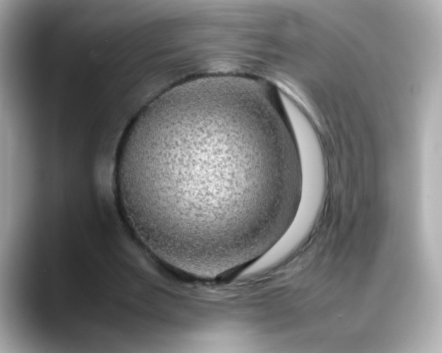 X0000088400485200706051138