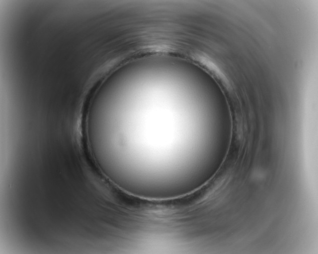 X0000088400486200706051138