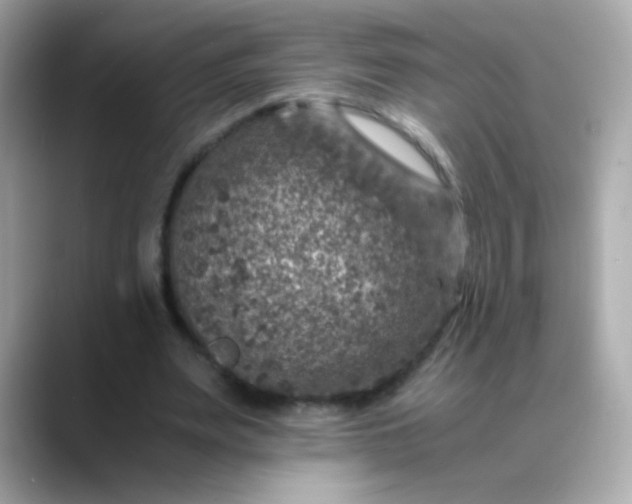 X0000088400487200706051138