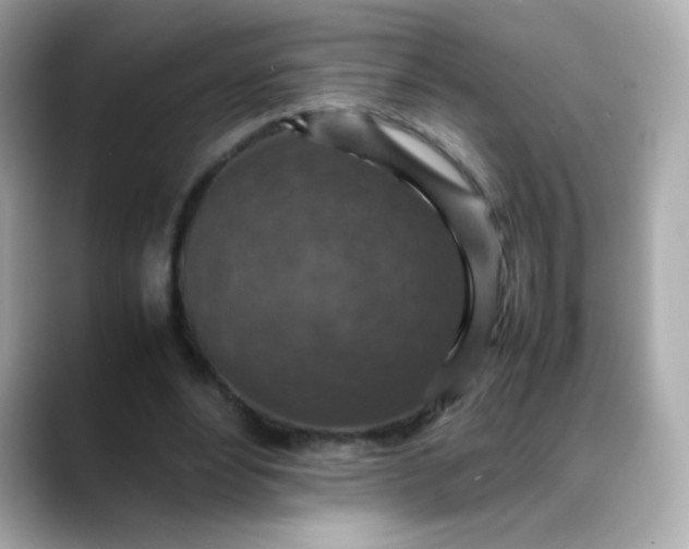 X0000088400488200706051138