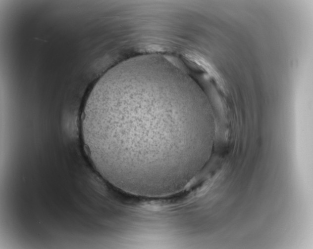 X0000088400489200706051138