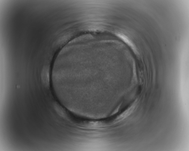 X0000088400493200706051138