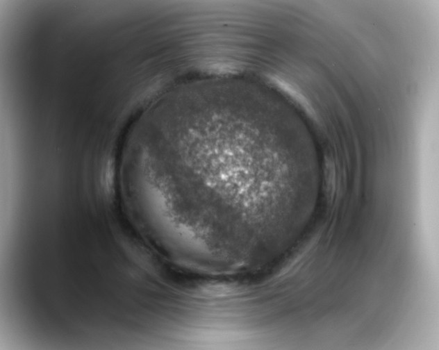 X0000088400494200706051138