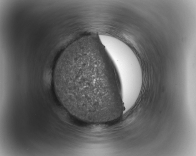 X0000088400495200706051138