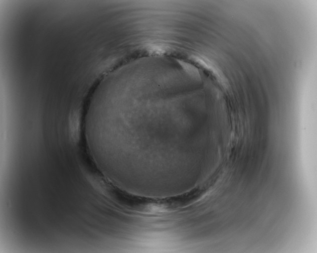 X0000088400496200706051138