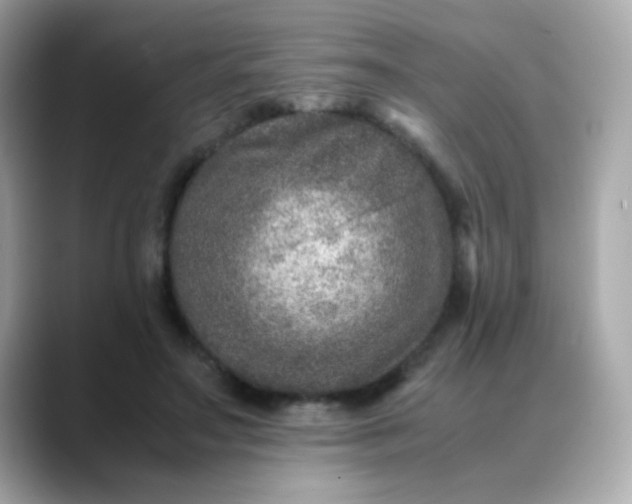 X0000088400499200706051138