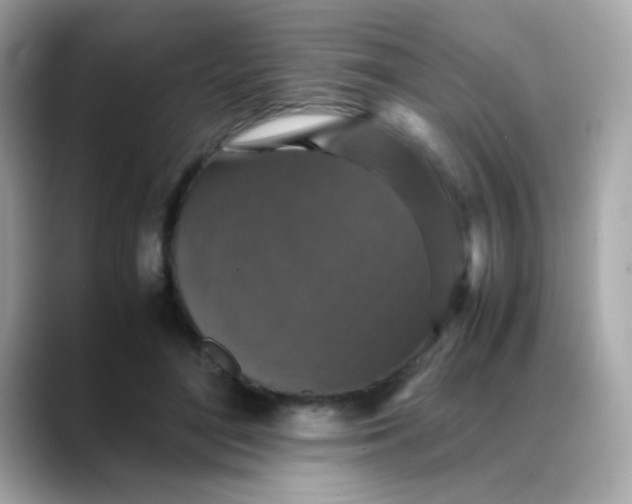 X0000088400500200706051138