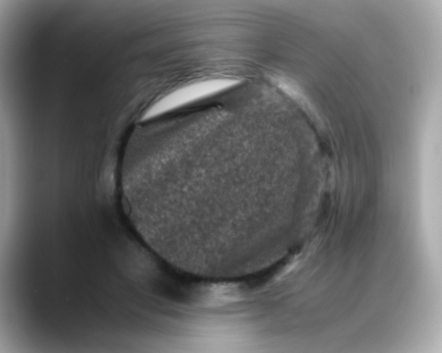 X0000088400501200706051138