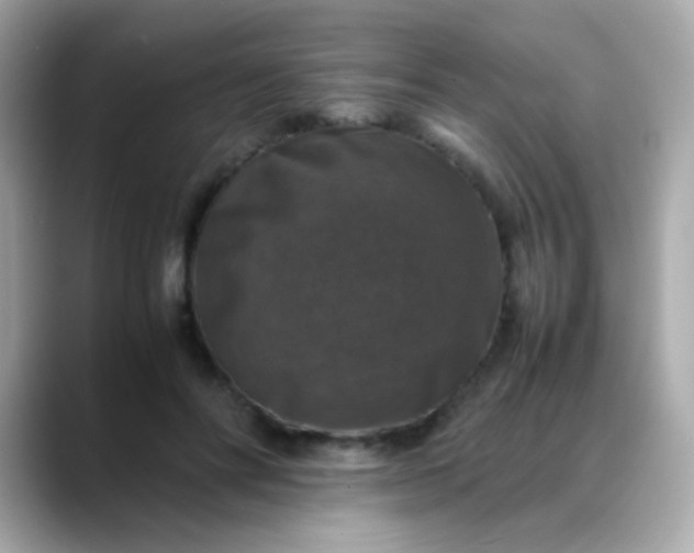 X0000088400502200706051138