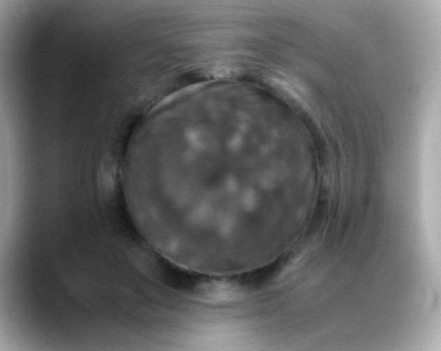 X0000088400503200706051138