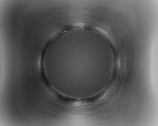 X0000088400504200706051138