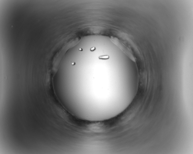 X0000088400505200706051138