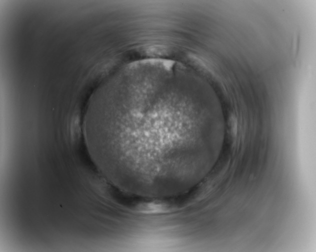 X0000088400506200706051138