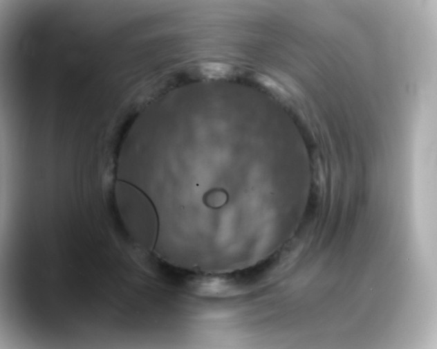 X0000088400507200706051138