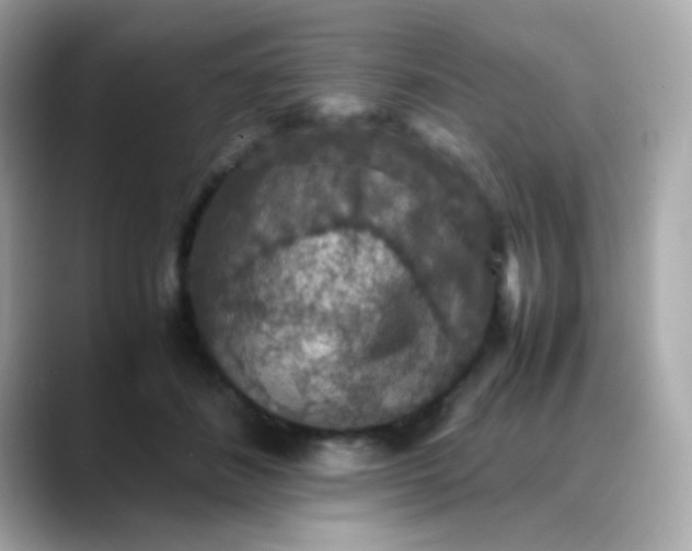 X0000088400508200706051138