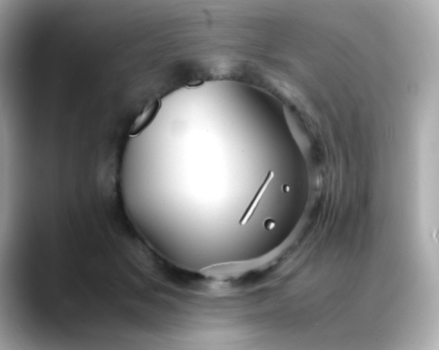 X0000088400509200706051138