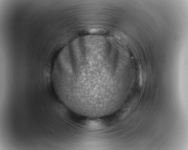 X0000088400510200706051138