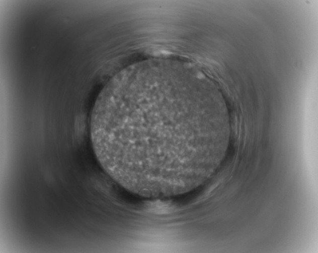 X0000088400511200706051138