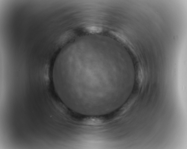 X0000088400512200706051138