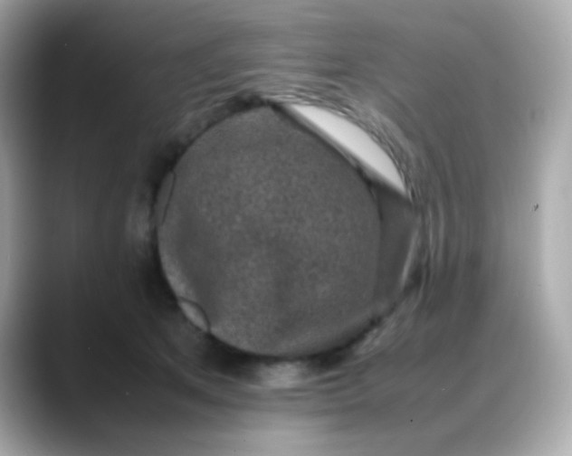 X0000088400513200706051138