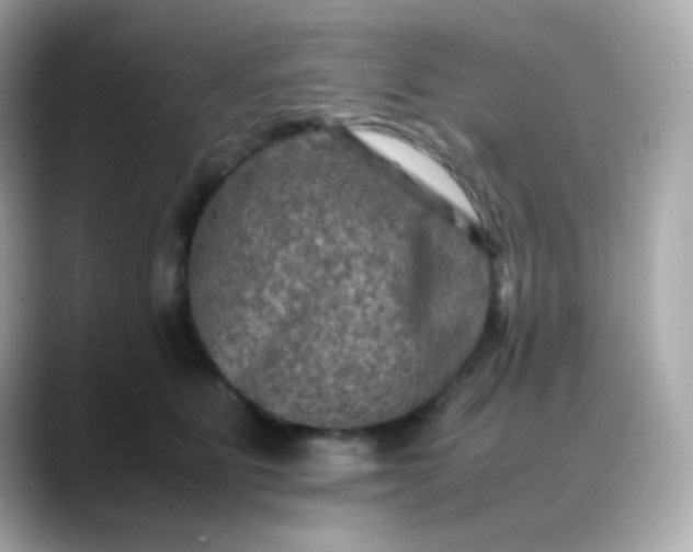 X0000088400515200706051138