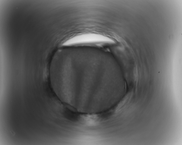 X0000088400517200706051138