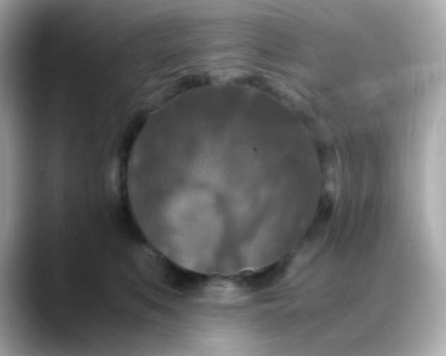 X0000088400519200706051138