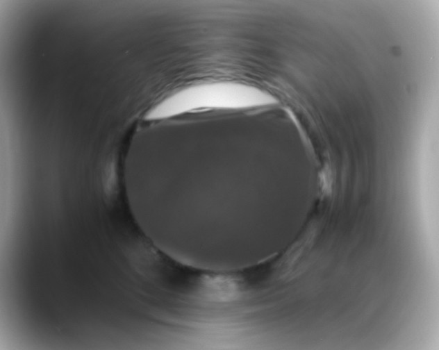 X0000088400520200706051138