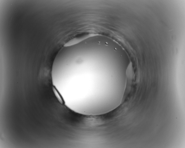 X0000088400521200706051138