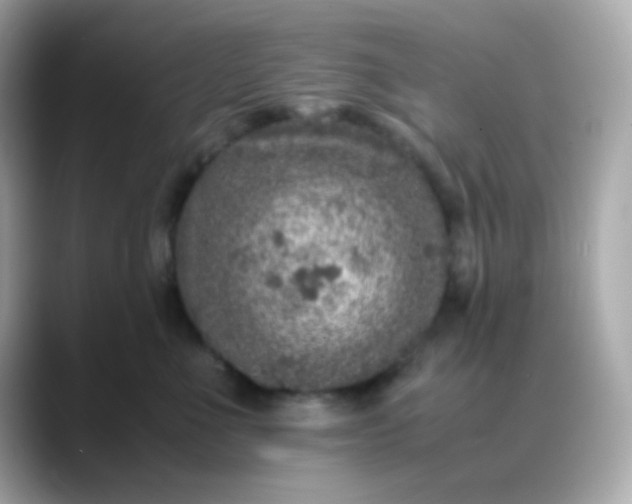 X0000088400523200706051138