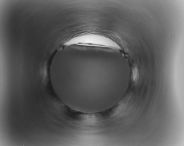 X0000088400524200706051138