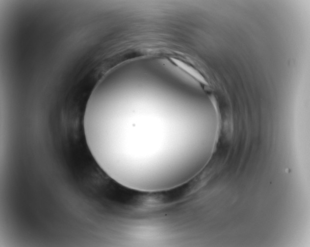 X0000088400525200706051138