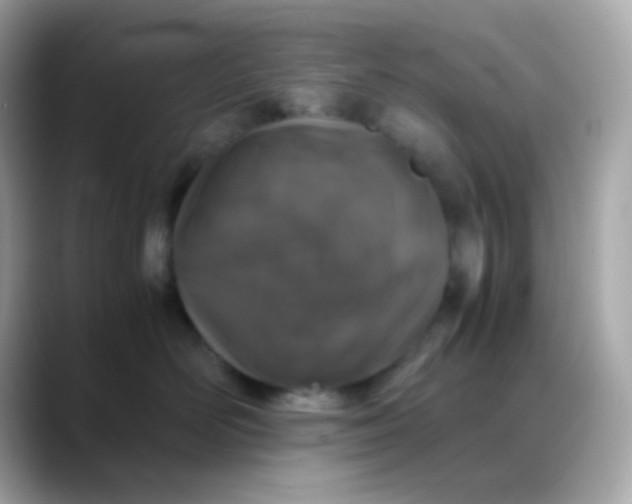 X0000088400526200706051138