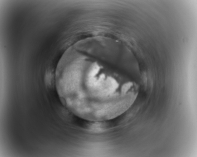 X0000088400527200706051138