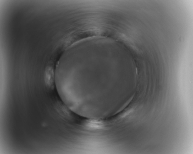 X0000088400528200706051138