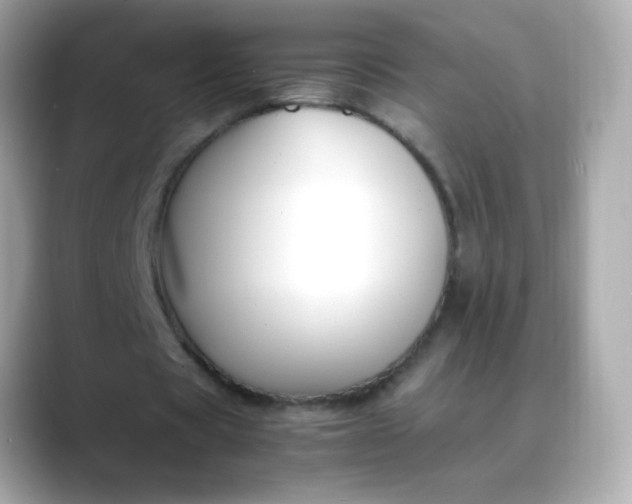 X0000088400529200706051137