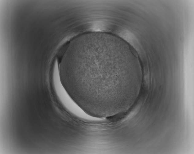 X0000088400530200706051137