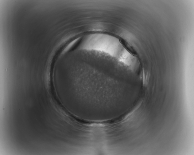 X0000088400531200706051137