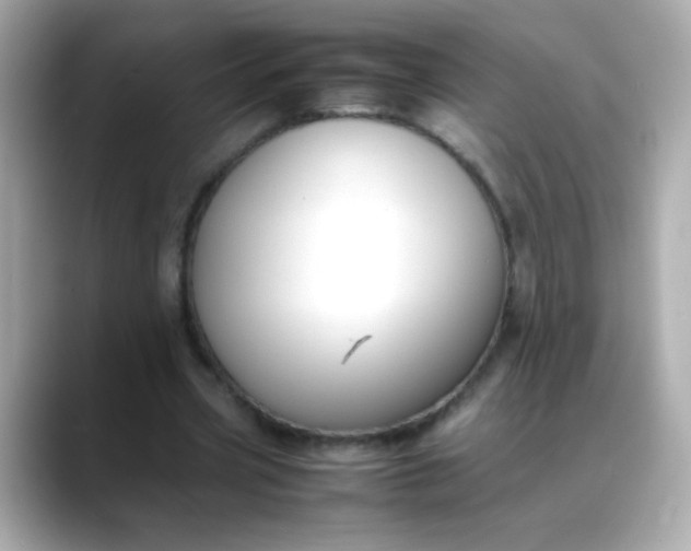 X0000088400533200706051137