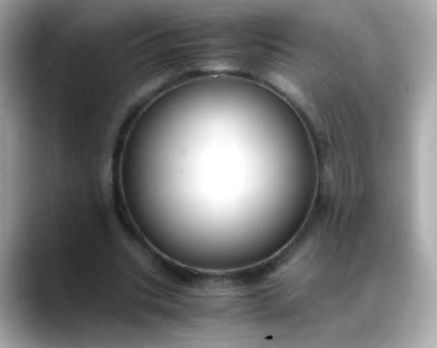 X0000088400535200706051137