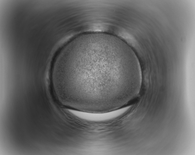 X0000088400536200706051137