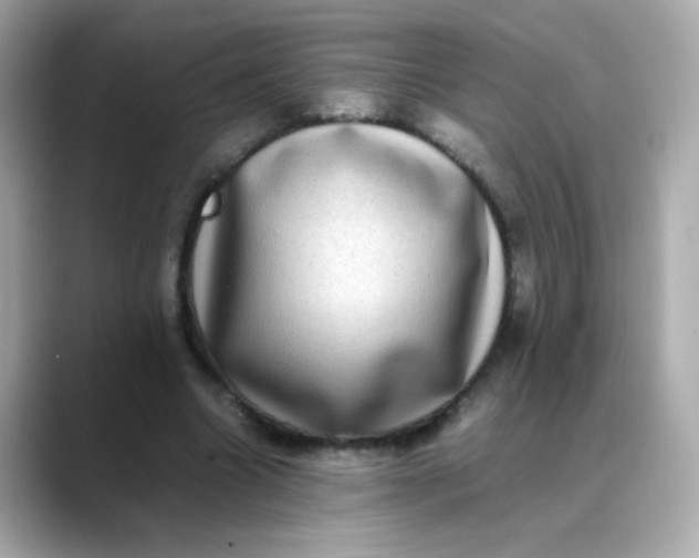 X0000088400538200706051137