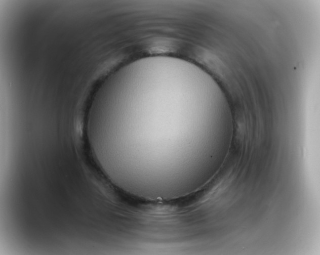 X0000088400539200706051137