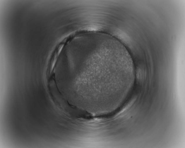 X0000088400540200706051137