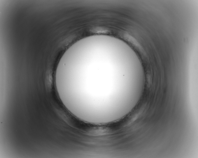 X0000088400541200706051137