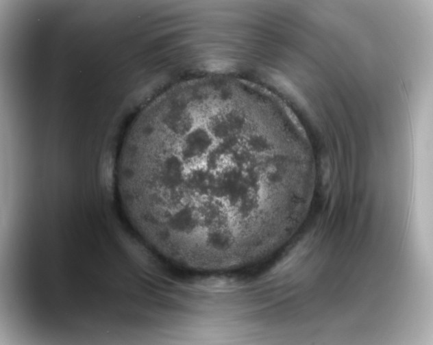 X0000088400542200706051137