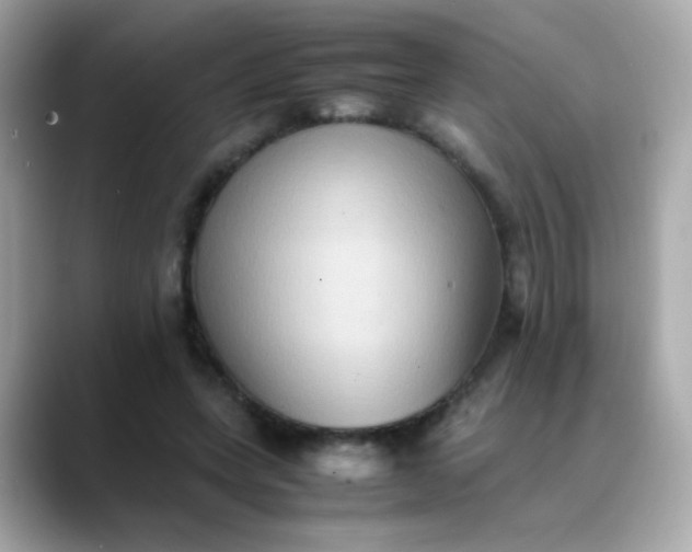 X0000088400543200706051137