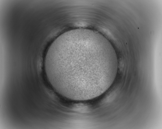 X0000088400544200706051137