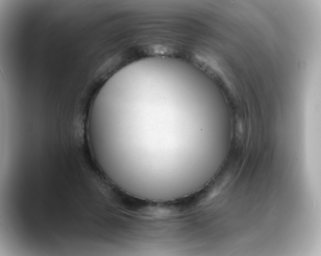 X0000088400545200706051137